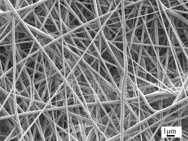 1726624058194477.jpg 圖片10.jpg